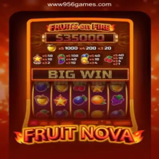 FruitNova: Discover the Exciting World of Brazil's Top Betting Platform